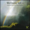 Wellness vol.1 - A beautiful journey to inner relaxation (DVD)