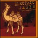 Electric Oasis - Exotic Arabian Grooves