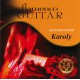 Karoly - Flamenco Guitar