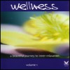 Wellness vol.1