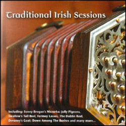 Traditional Irish Session