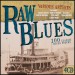 Raw Blues - 100 Classic Blues Tracks (CD x  4)