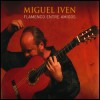 Miguel Iven - Flamenco entre Amigos