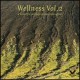 Wellness vol.2 - A beautiful journey to inner relaxation (DVD)