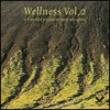 Wellness vol.2 - A beautiful journey to inner relaxation (DVD)
