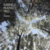 Gabriele Pezzoli Trio - Viljandi (Digital)