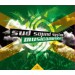 Sud Sound System - Musica Musica