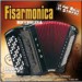 Fisarmonica - Ricciolina
