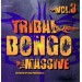 Tribal Bongo Massive Vol. 3