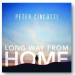 Peter Cincotti - Long Way From Home