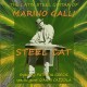 Marino Galli - Steel Cat