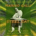Marino Galli - Steel Cat
